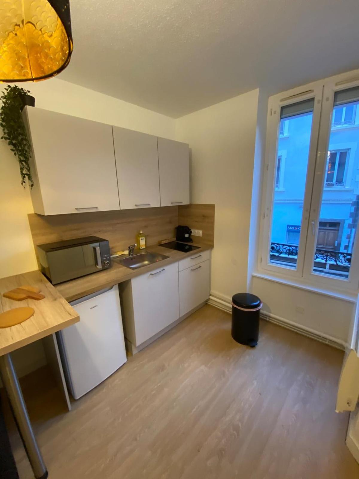 New Downtown Salins Appartement Clermont-Ferrand